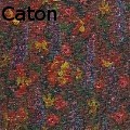 Heather Caton - floral - Paintings